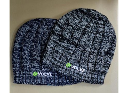 product image for Evolve Beanie